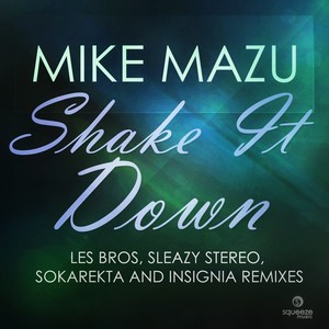 Shake It Down (Remixes)