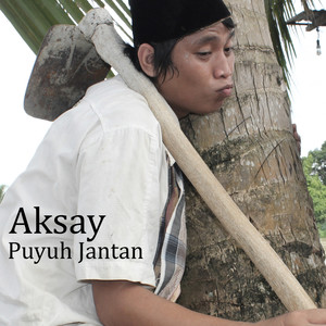 Puyuh Jantan