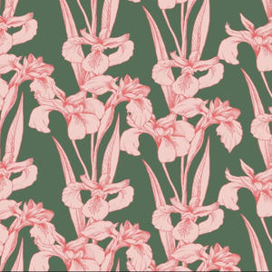 Apartments (Explicit)