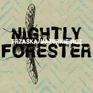 Nightly Forester