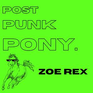 POST PUNK PONY