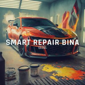 Smart Repair Bina