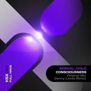 Consciousness (Danny Lucas Remix)