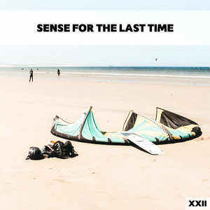 Sense For The Last Time XXII