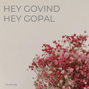 Hey Govind Hey Gopal