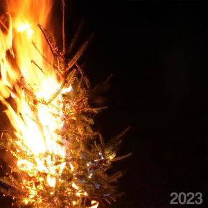 A Regrettable Holiday Album 2023 (Explicit)