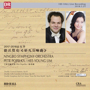 E小调第九交响曲，作品95 - 第四乐章：快板，奏鸣曲式 (Live)