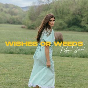 Wishes or ****s (Explicit)