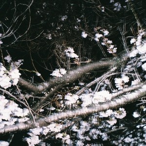 Asobo (feat. Awich, MonyHorse, PETZ, JNKMN & kZm)