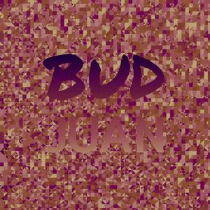 Bud Juan