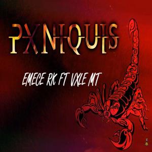 Pxniquis(feat. Vxle MT) (Explicit)