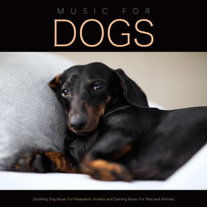 Relaxing Music For Dogs