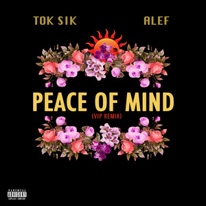 Peace Of Mind (VIP Remix|Explicit)