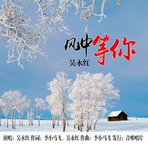 风中等爱 (伴奏)