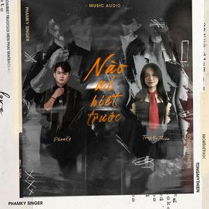 NÀO AI BIẾT TRƯỚC - Phạm Kỳ (feat. Tống Mỹ Thiện)