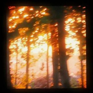 Been That (Explicit)