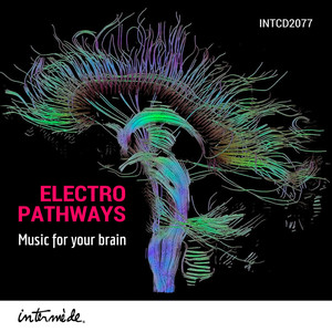 Electro Pathways