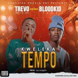 Kweleka TEMPO (feat. Bloodkid yvok)