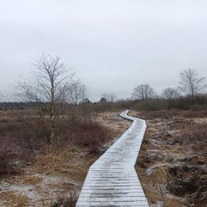 H I G H E R (Explicit)