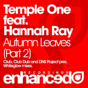 Autumn Leaves (Club Mix)