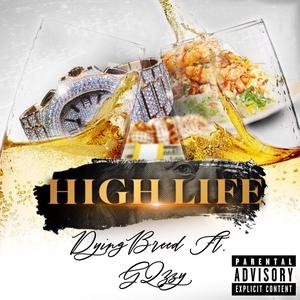 High Life (feat. GQzzy) (Explicit)