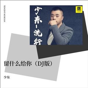 留什么给你（DJ版）