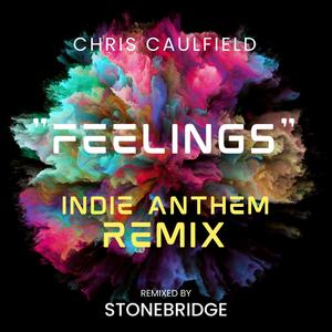 Feelings (StoneBridge Indie Anthem Remix) [Explicit]