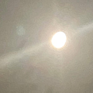 Money & $ (Explicit)