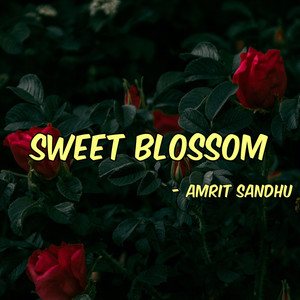 Sweet Blossom