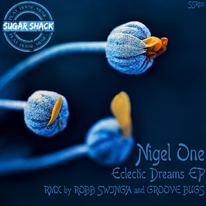 Luvchild (Robb Swinga Remix)