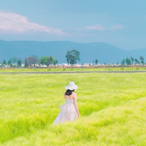 你是人间的四月天 (伴奏)