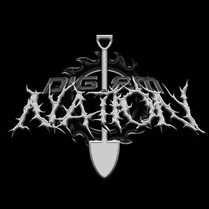 DIG NATION (feat. YCS MAINE, JAYY2KAYY & AKA Wi$e)