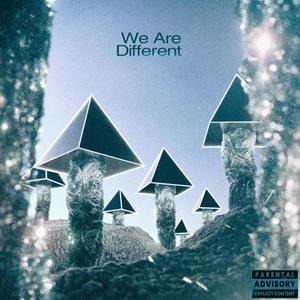 We Are Different (feat. Emil Assergård, Stiftelsen & Albatraoz) (Explicit)