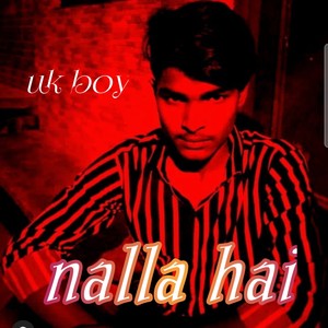 Nalla hai (Explicit)