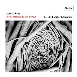 Scott Ordway: The Clearing and the Forest