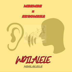 Ndilalele (feat. SKGOMSHA)