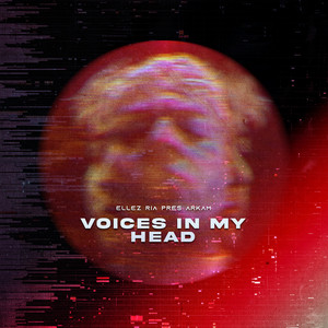 Voices In My Head
