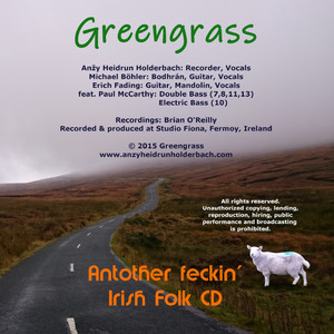 Another Feckin' Irish Folk CD