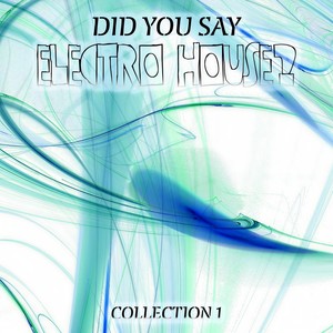 Did You Say Electro House? Collection 1 (Explicit)