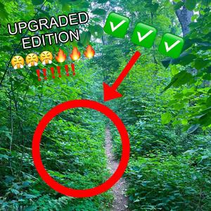 iwouldrecommendgoingoutside:D (UPGRADEDEDITION #swag) (Explicit)