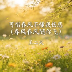 可惜春风不懂我伤悲(春风春风随你飞)-王二火