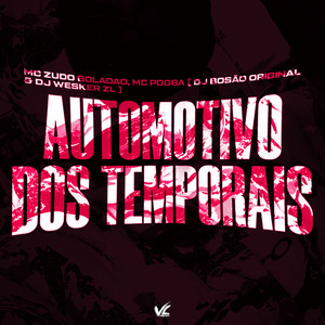 DJ Bosão Original - Automotivo Dos Temporais (Explicit)