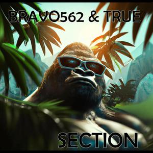 Section (feat. Bearonthebeat) [Explicit]