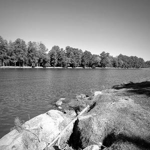 Cycle (feat. Voolin) (Explicit)