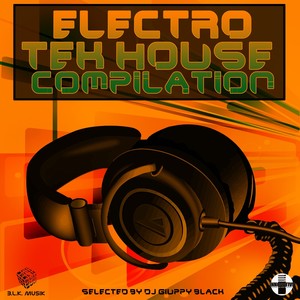 Electro Tek House Compilation (Selected by DJ Giuppy Black)