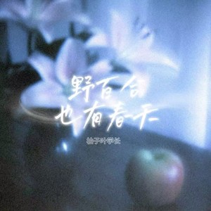 野百合也有春天 (深情版)