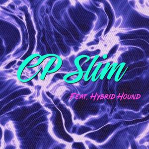 Blame Me (feat. Hybrid Hound) (Explicit)