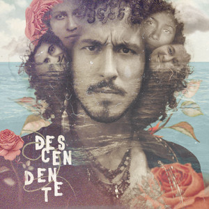 Matheus Pezzotta - Seiva