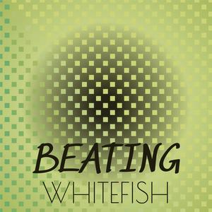 Beating Whitefish