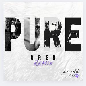 PURE BRED (feat. CD) (REMIX|Explicit)